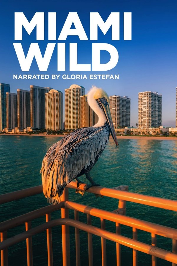 Miami Salvaje