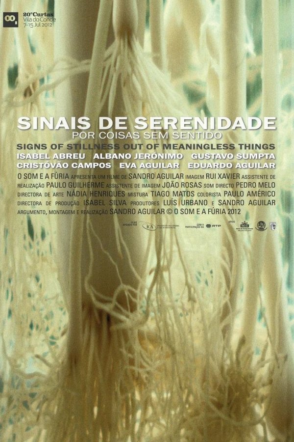 Sinais De Serenidade Por Coisas Sem Sentido