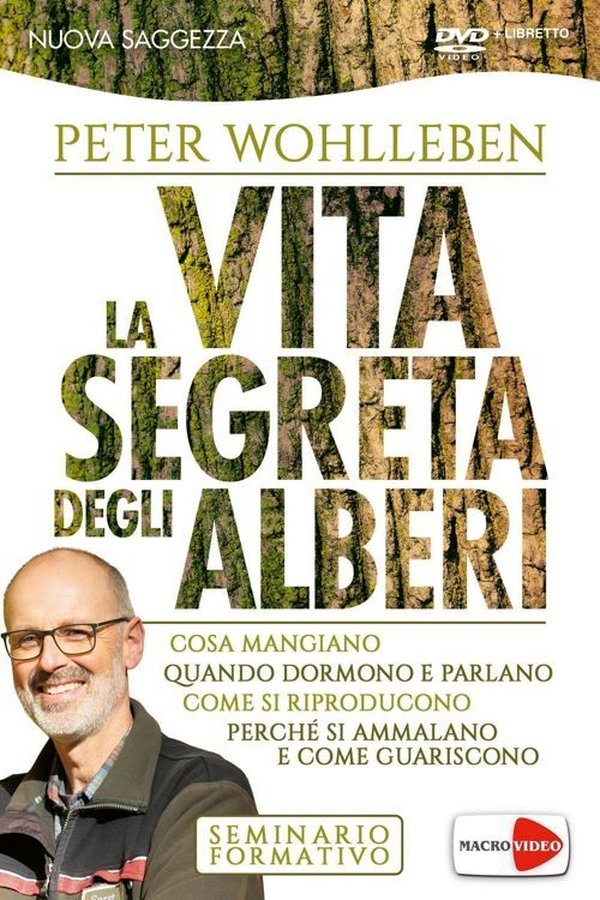 La Vita Segreta Degli Alberi