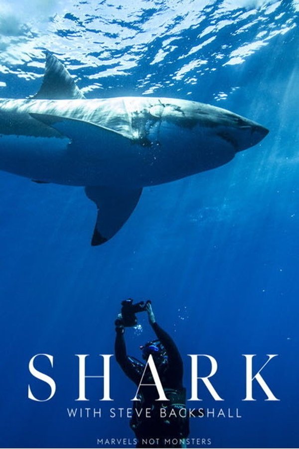 Shark With Steve Backshall