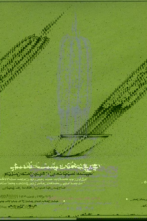 پچ پچه های پشت خط نبرد