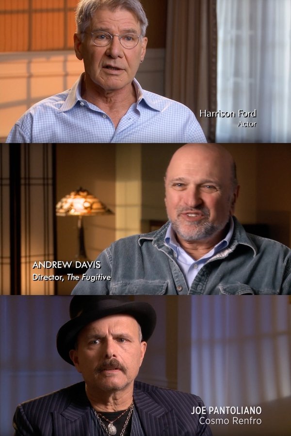 The Fugitive: Thrill Of The Chase