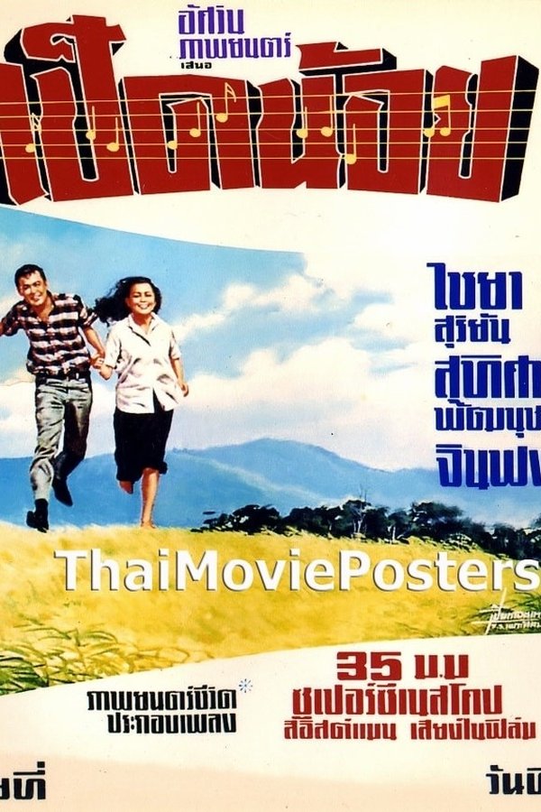 เป็ดน้อย