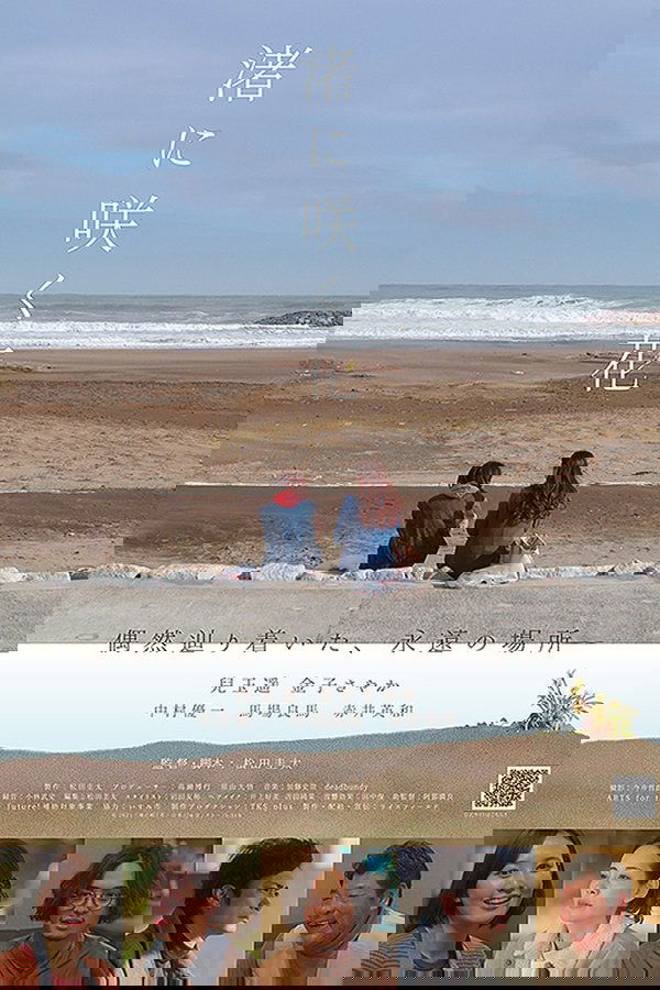 渚に咲く花