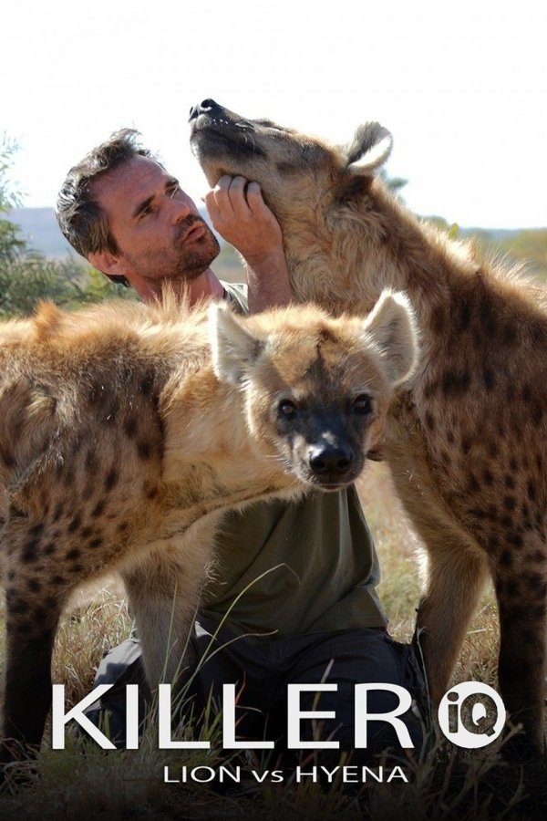 Killer IQ: Lion Vs. Hyena