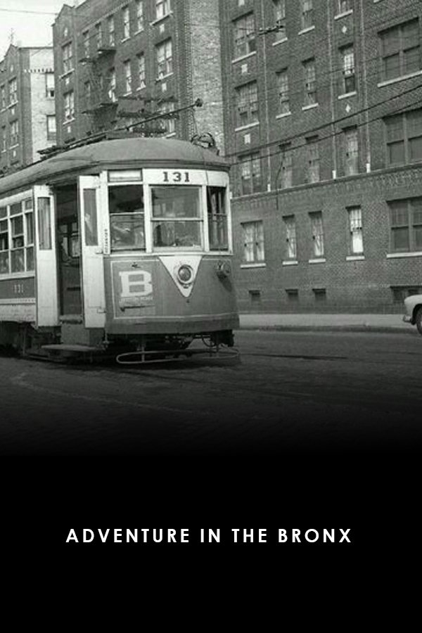 Adventure In The Bronx