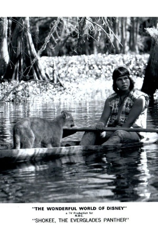 Shokee, The Everglades Panther