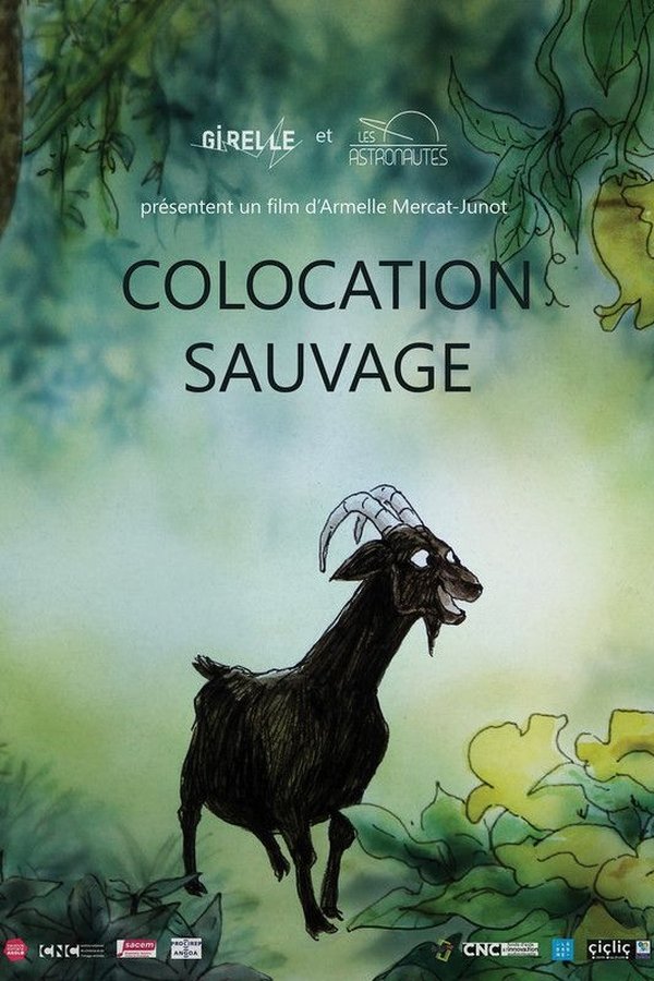 Colocation Sauvage