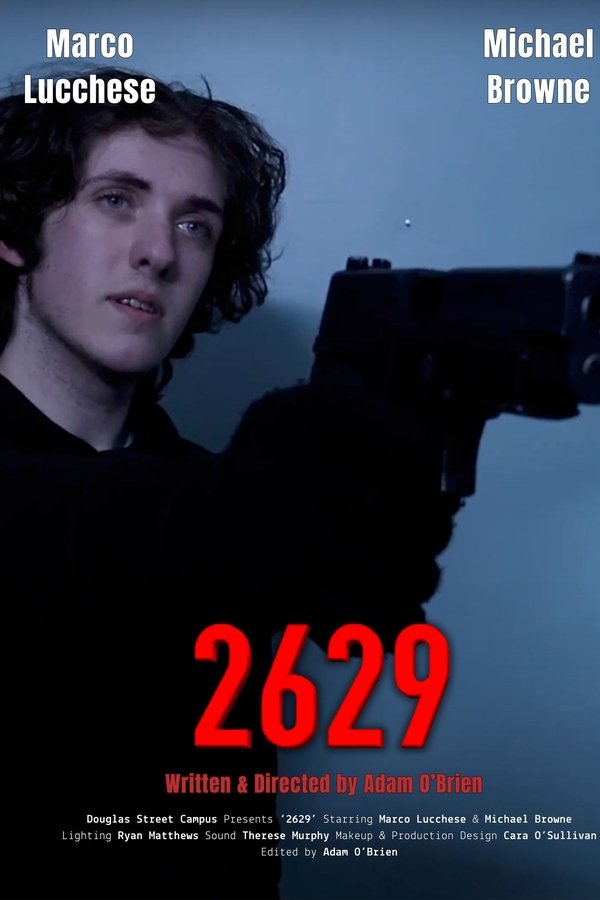 2629