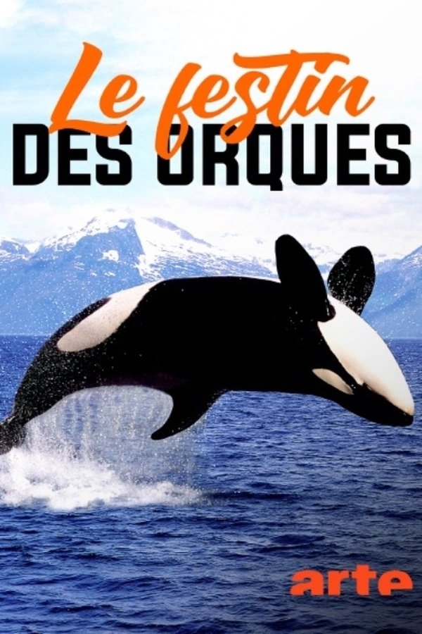 Norvège : Le Festin Des Orques