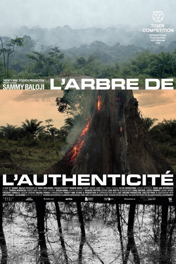L’arbre De L’authenticité