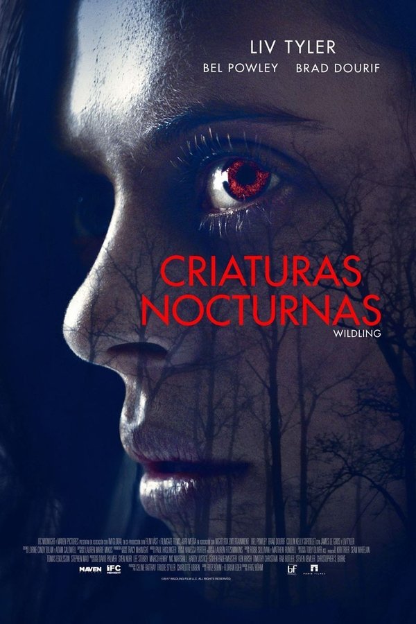 Criaturas nocturnas