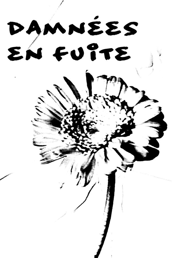 Damnées En Fuite