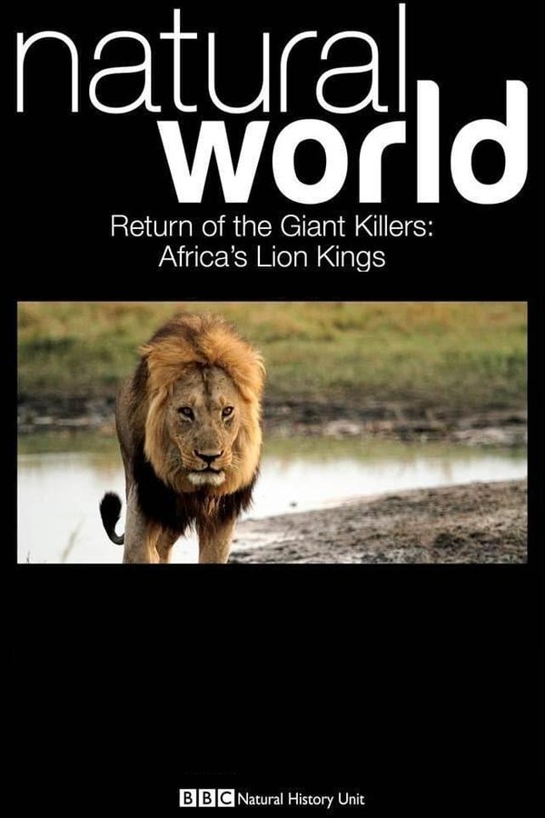 Return Of The Giant Killers: Africa's Lion Kings