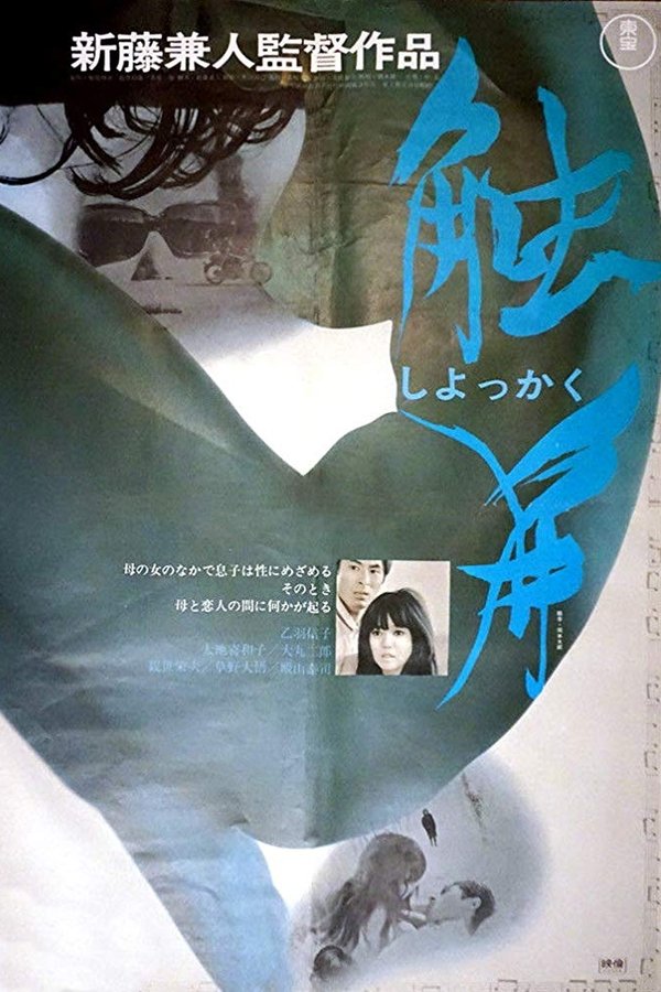 触角