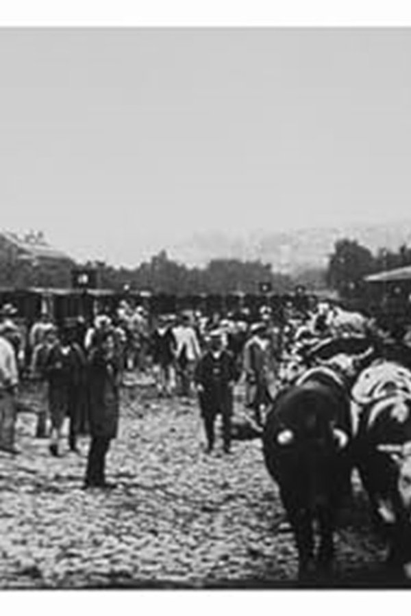 Marché aux boeufs, I