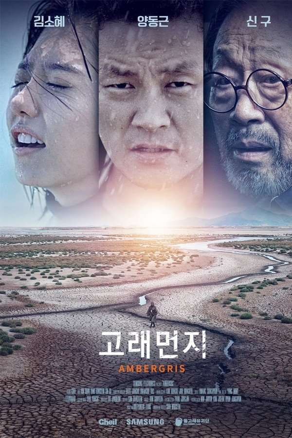 고래먼지