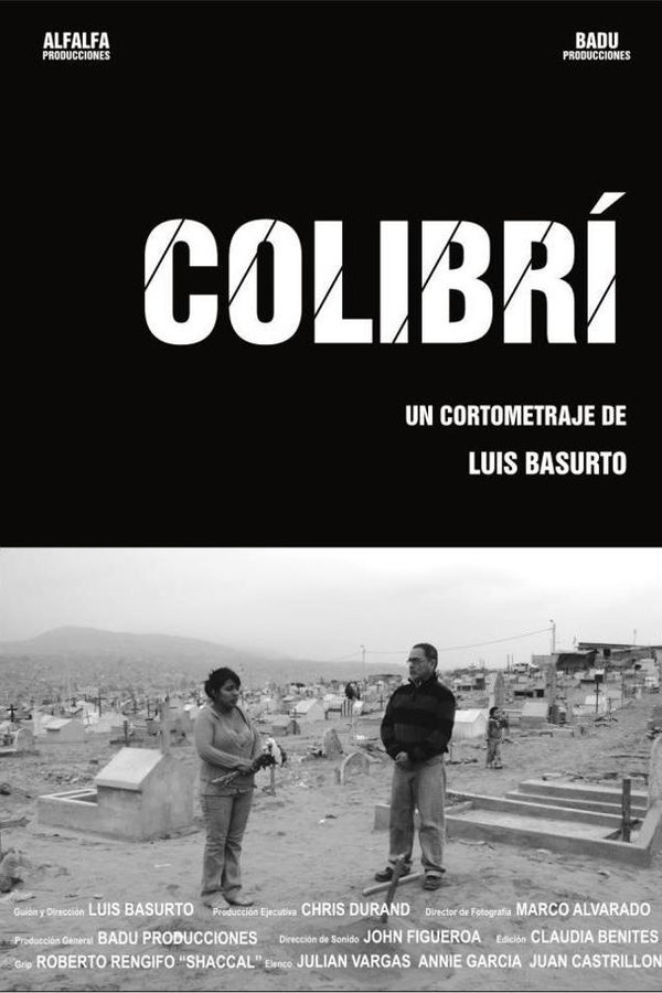 Colibrí