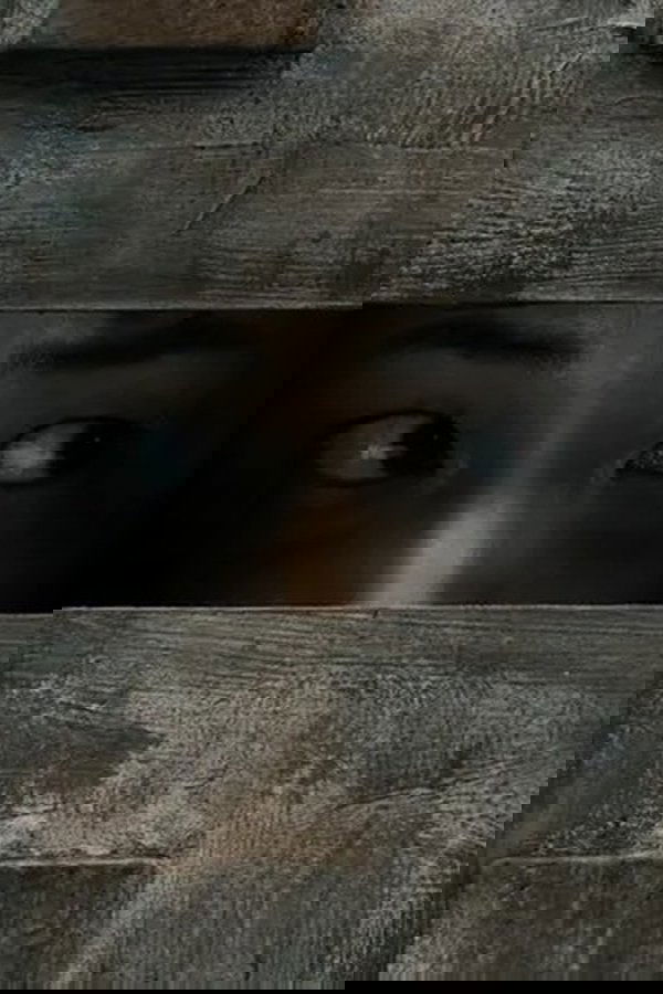 6 LEGS