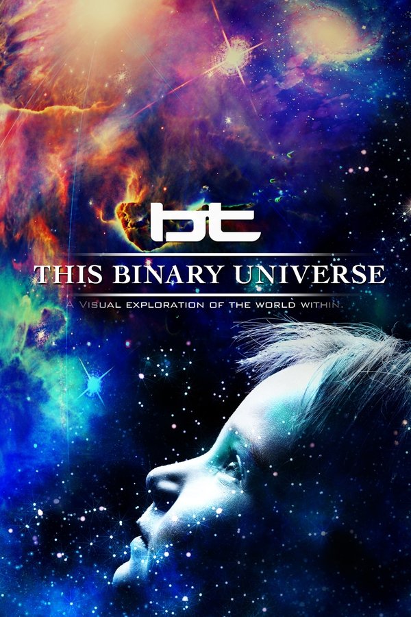 BT - This Binary Universe