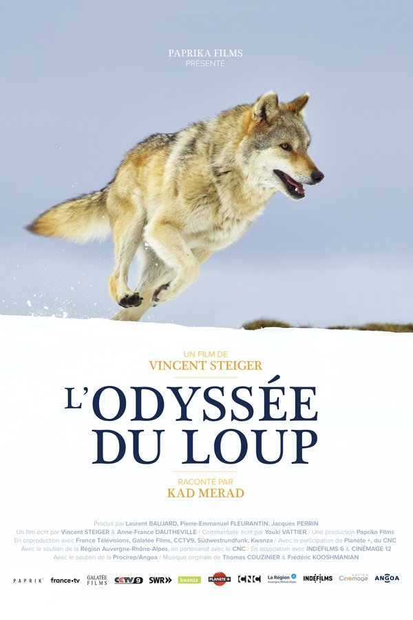 L'Odyssée Du Loup