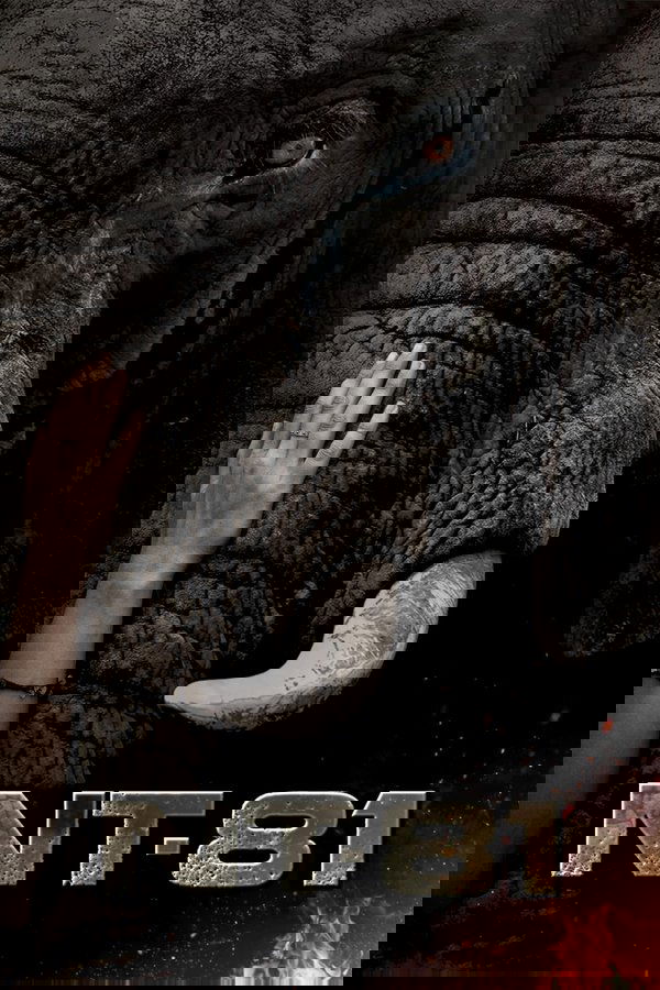 NT81