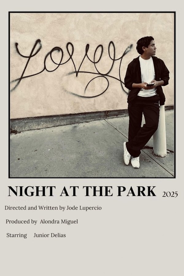 Night At The Park