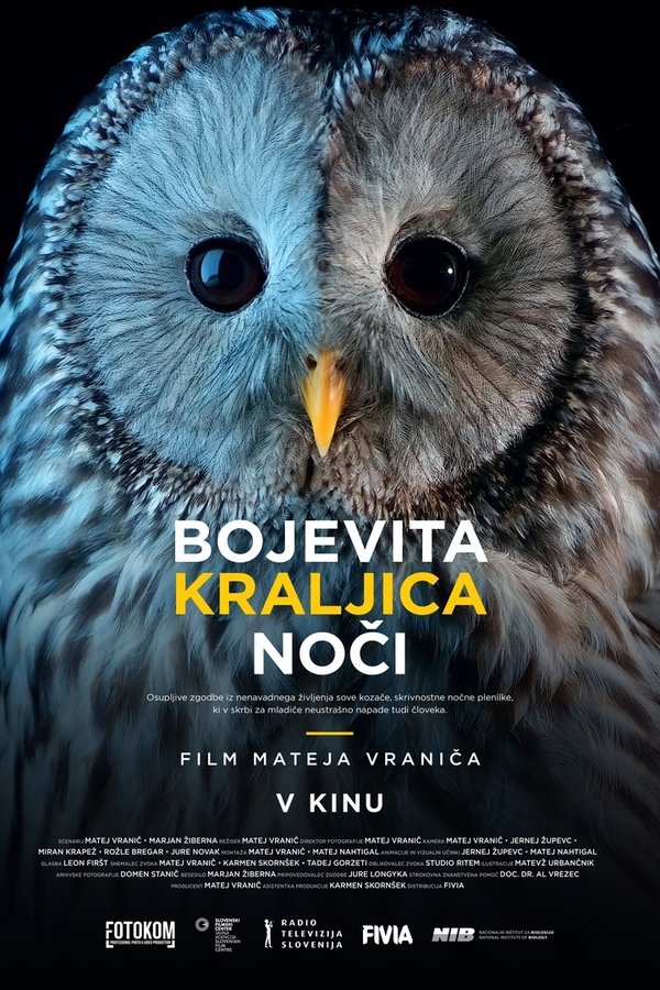 Bojevita Kraljica Noči
