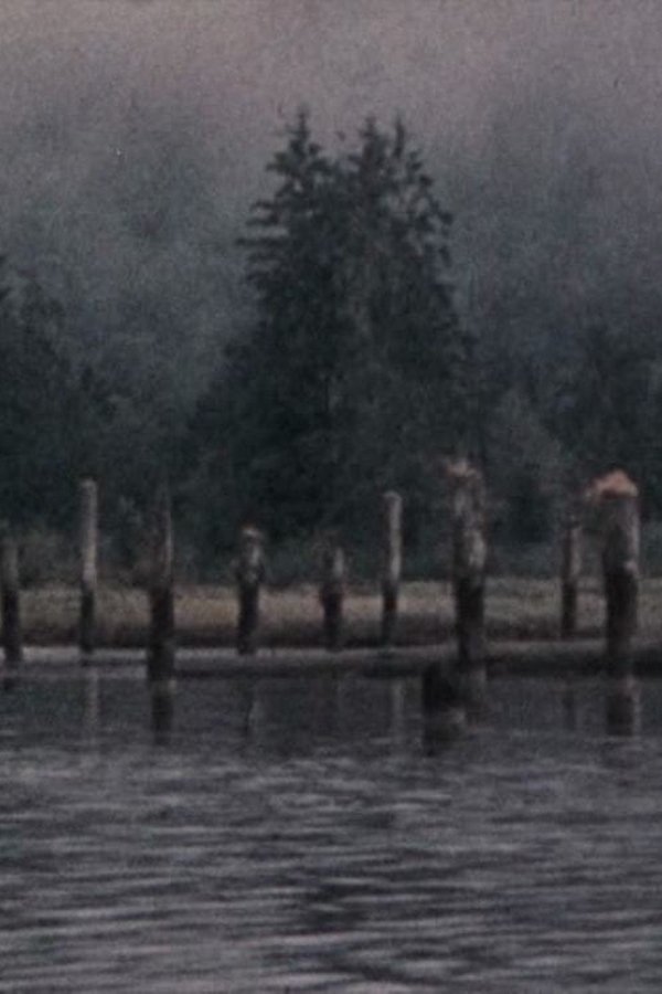 Narrows Inlet