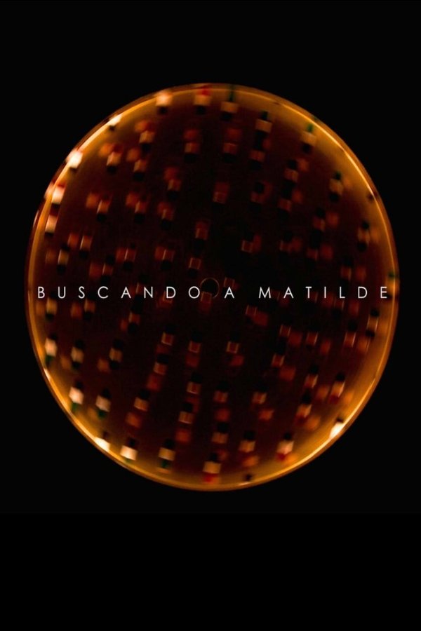 Buscando A Matilde