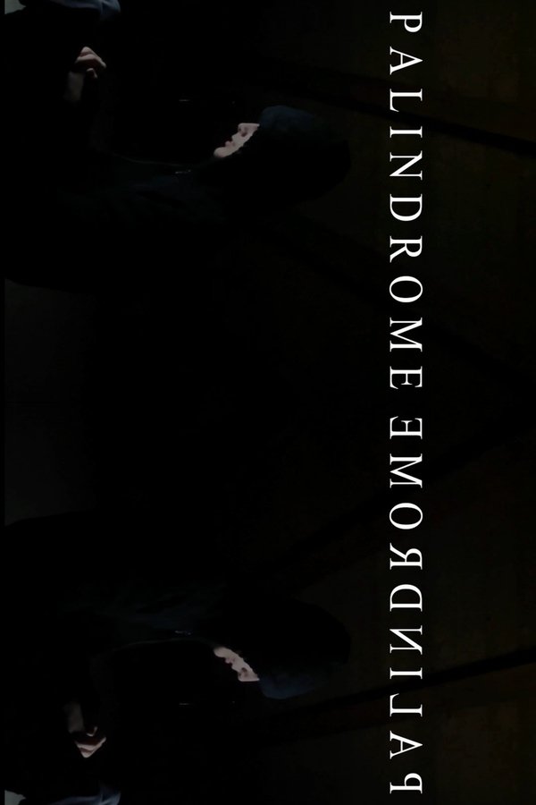PalindromeemordnilaP