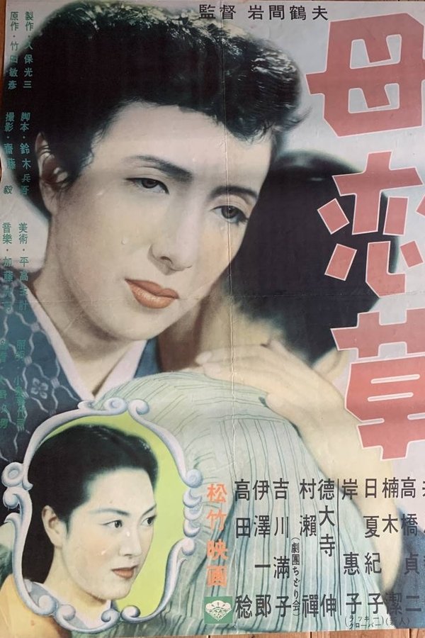 母恋草