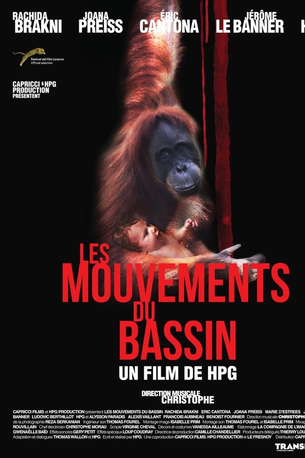 Les Mouvements Du Bassin