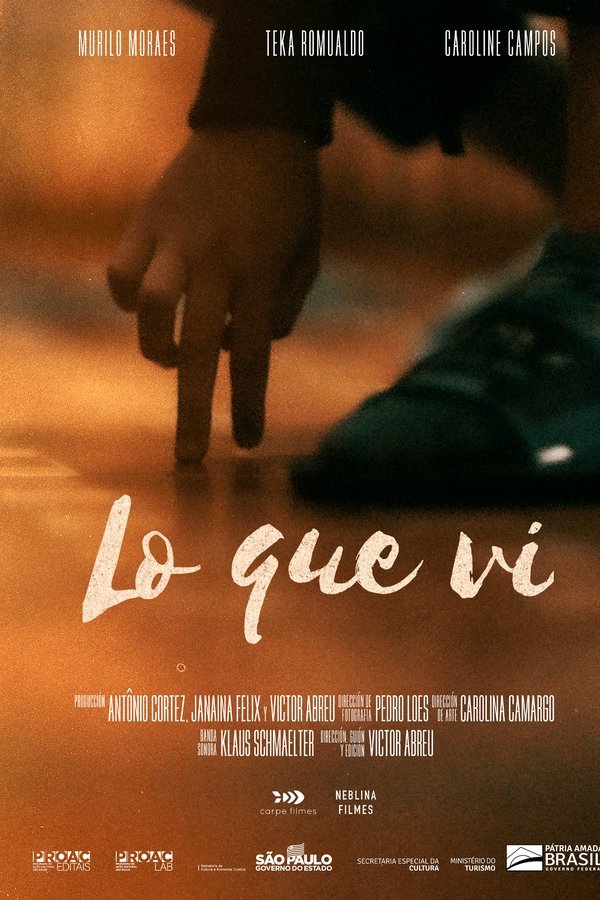 O Que Vi