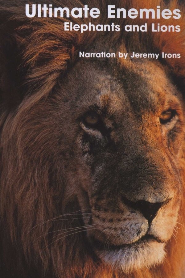 Ultimate Enemies: Elephants And Lions