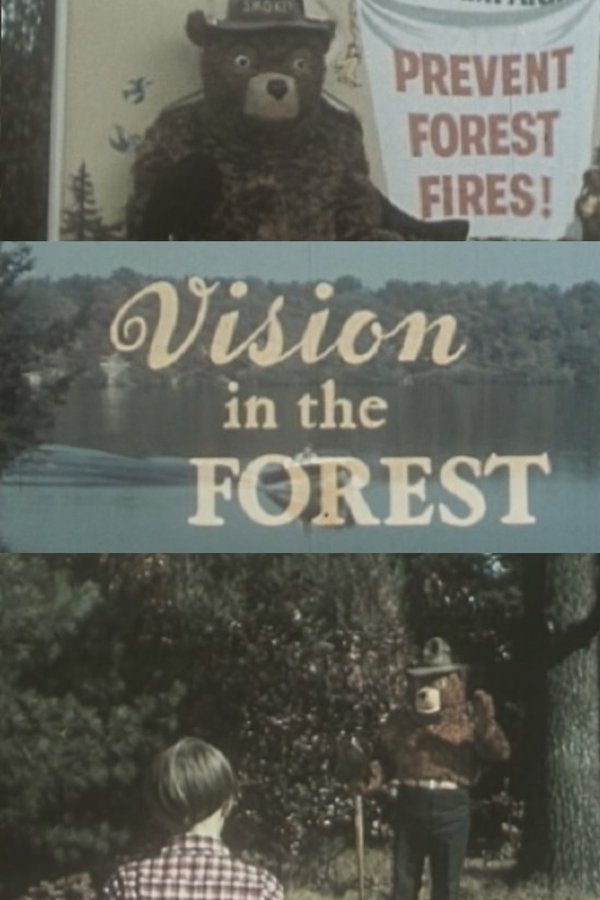 Vision In The Forest