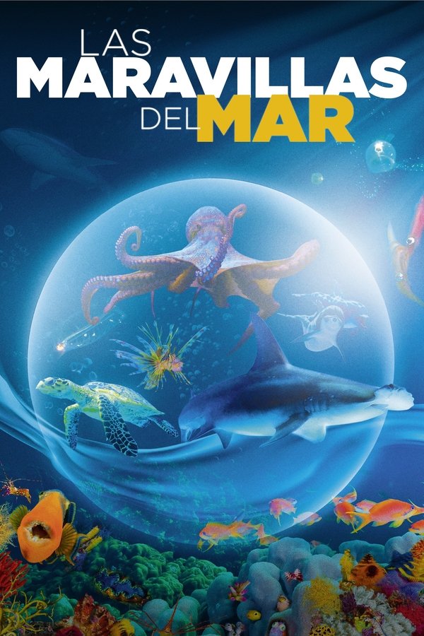 Wonders Of The Sea 3D