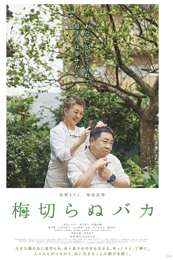 梅切らぬバカ