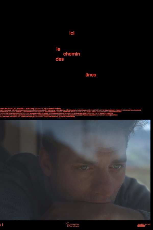 Ici Le Chemin Des ânes