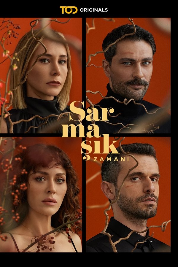 Sarmaşık Zamanı