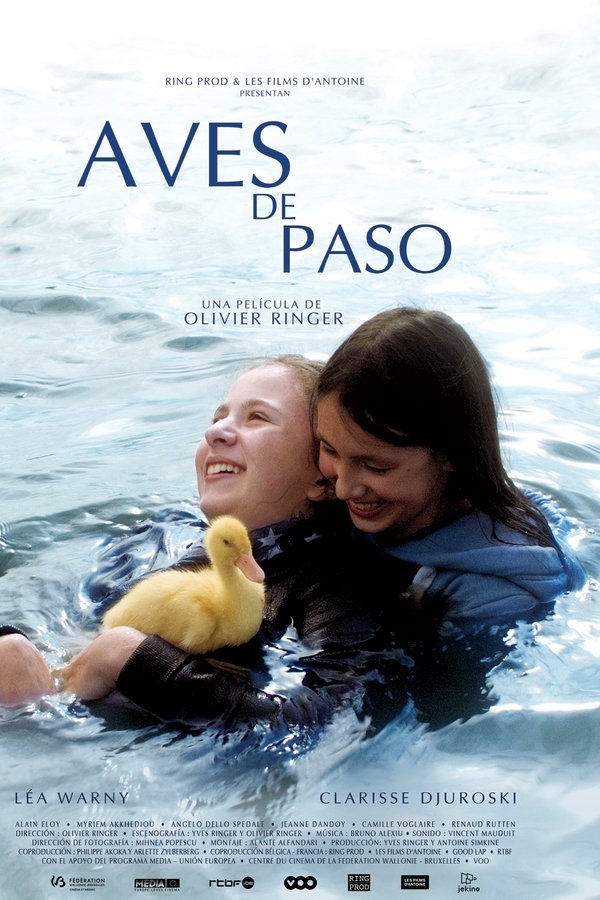 Les Oiseaux De Passage