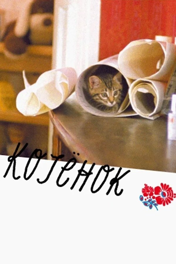 Котёнок
