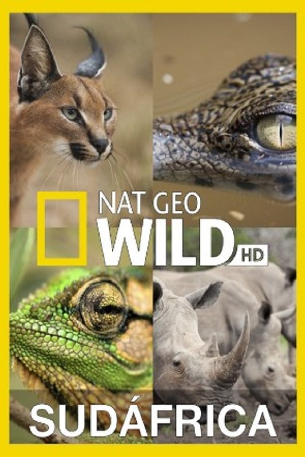 Wild South Africa