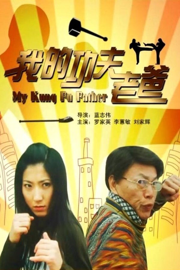 我的功夫老爸