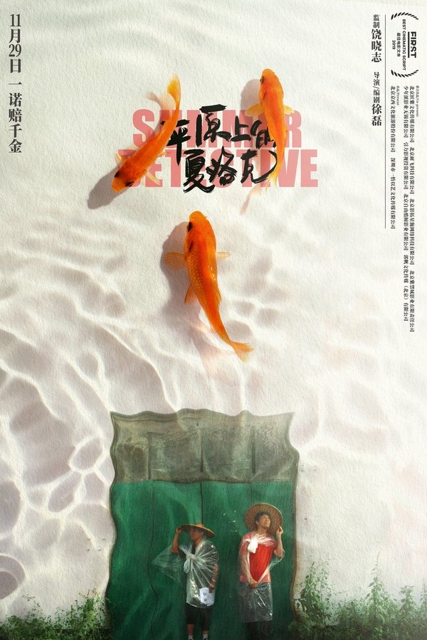 Summer-detective