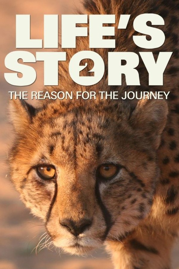 Life's Story 2: The Reason For The Journey