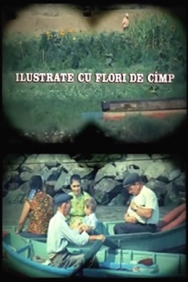 Ilustrate Cu Flori De Câmp