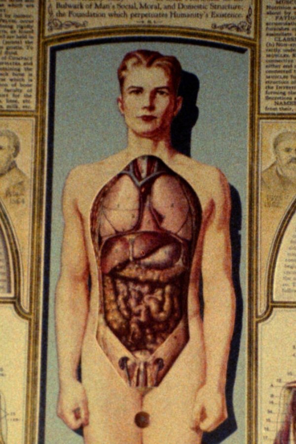 Natural History