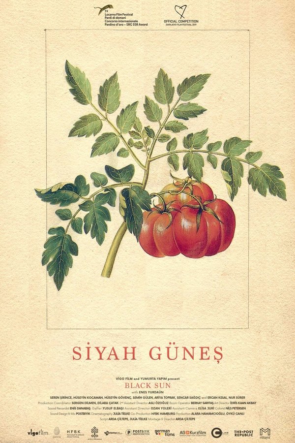 Siyah Güneş