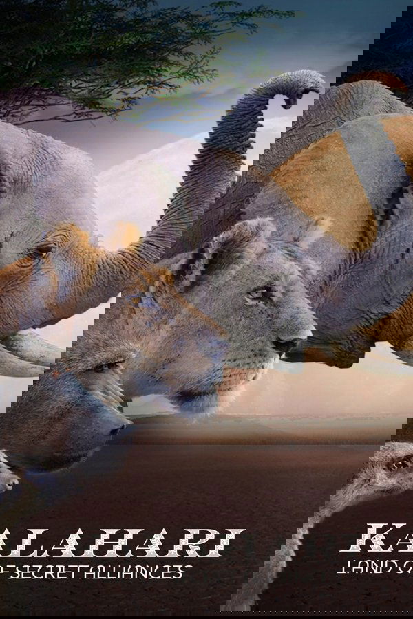 Kalahari: Land of Secret Alliances